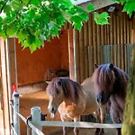 Ap-ranch Ferienzimmer Sternenblick アパート *