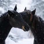 Ap-ranch Ferienzimmer Sternenblick Daire *