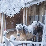 Daire Ap-ranch Ferienzimmer Sternenblick *