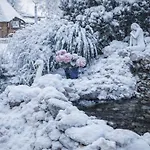 Ap-ranch Ferienzimmer Sternenblick Daire Lochen am See