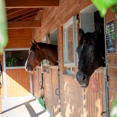 Ap-ranch Ferienzimmer Sternenblick
