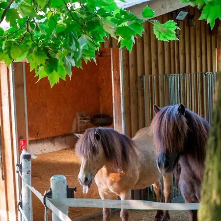 Ap-ranch Ferienzimmer Sternenblick 公寓 *