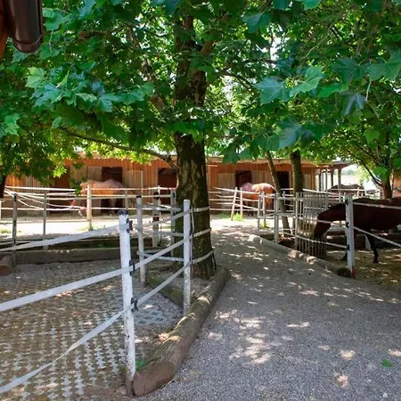Ap-ranch Ferienzimmer Sternenblick Lägenhet Lochen am See