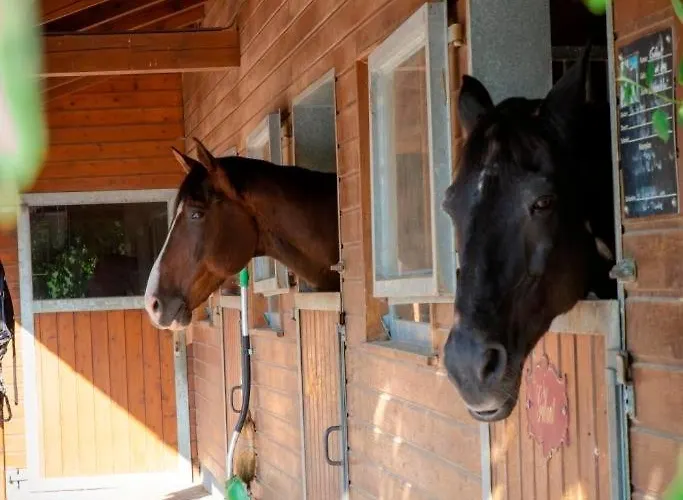 Ap-ranch Ferienzimmer Sternenblick