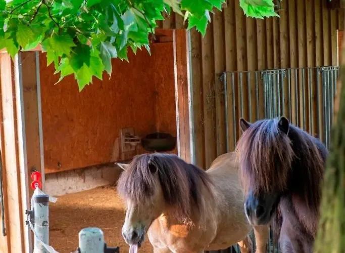 Ap-ranch Ferienzimmer Sternenblick Lägenhet *