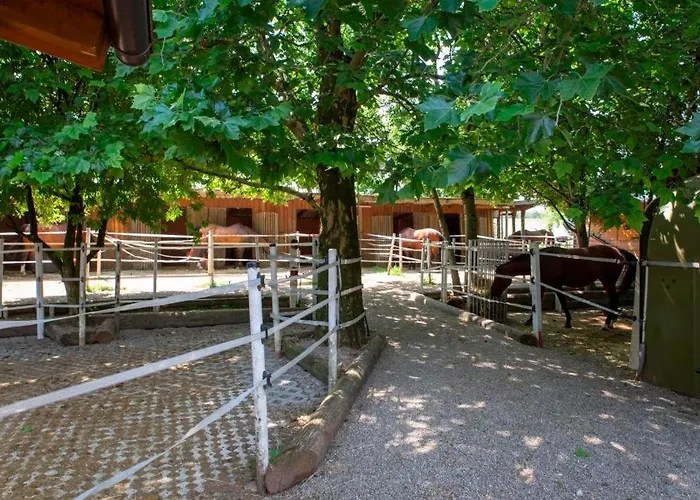 Ap-ranch Ferienzimmer Sternenblick Lägenhet Lochen am See