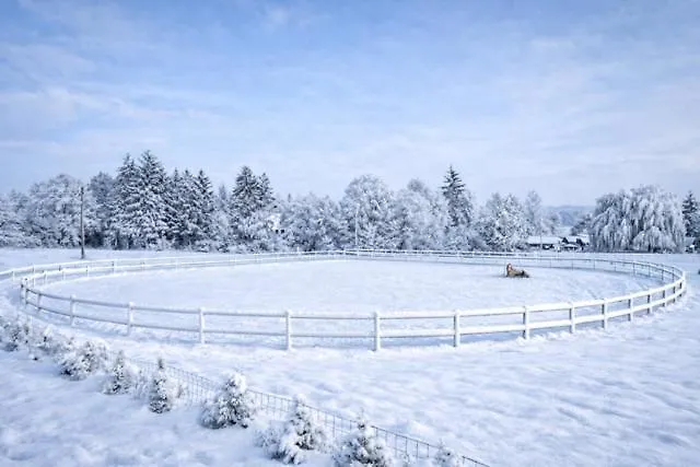 Ap-ranch Ferienzimmer Sternenblick