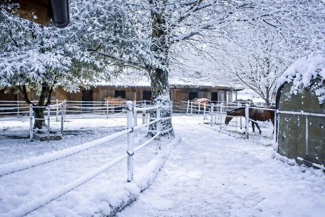 Ap-ranch Ferienzimmer Sternenblick Апартаменты *
