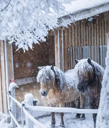Lägenhet Ap-ranch Ferienzimmer Sternenblick *