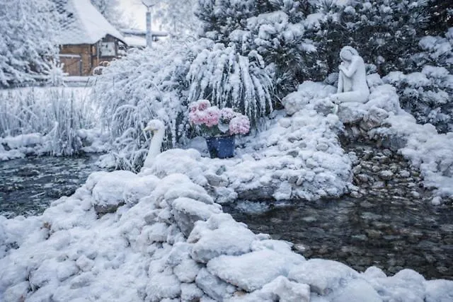 Ap-ranch Ferienzimmer Sternenblick Апартаменты Lochen am See